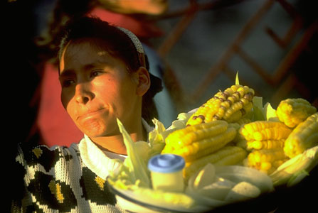 Corn Vendor